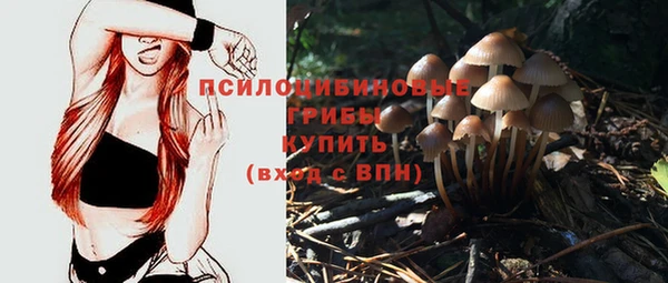 MESCALINE Алзамай