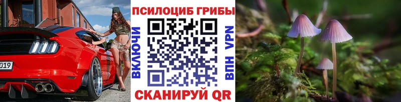Псилоцибиновые грибы мицелий  KRAKEN ONION  Чишмы 